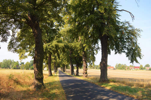 Strasse